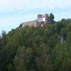 Scaled Image11.jpg