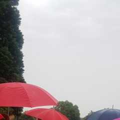 20200726_093202.JPG