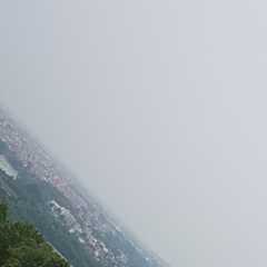 20200726_095614.JPG