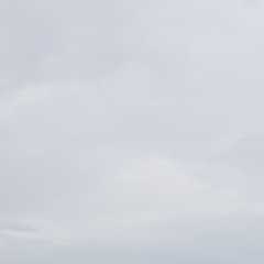20200726_103645.JPG