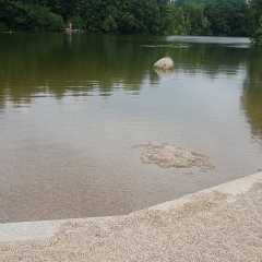 20200726_124123.JPG