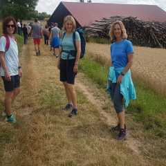20200726_134537.JPG