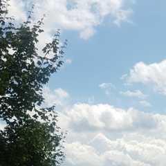 20200726_135711.JPG