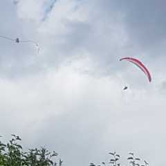 20200726_141148.JPG