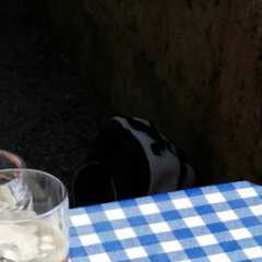 IMG-20200919-WA0001.JPG