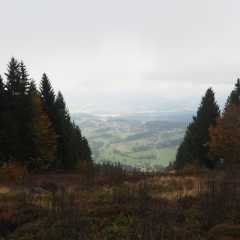 PA236997.JPG