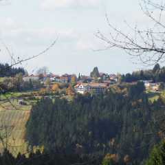 PA237050.JPG