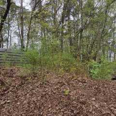 IMG-20220423-WA0007.jpg