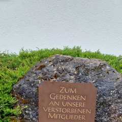 IMG-20220501-WA0005.jpg