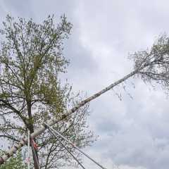 IMG-20220501-WA0013.jpg