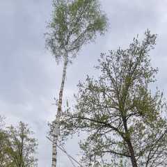 IMG-20220501-WA0052.jpg