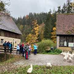 IMG_008640.JPG