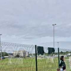IMG-20240529-WA0018.jpg