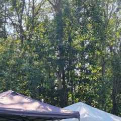 IMG-20240908-WA0034.jpg