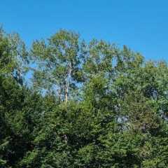 IMG-20240908-WA0059.jpg
