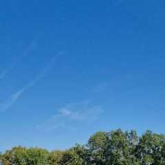 IMG-20240908-WA0085.jpg