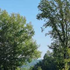 IMG-20240908-WA0089.jpg