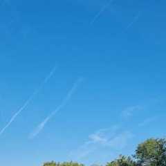 IMG-20240908-WA0093.jpg