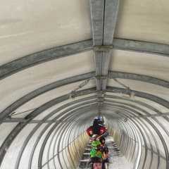 IMG-20250105-WA0039.JPG