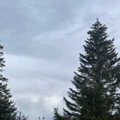 IMG-20250106-WA0023.JPG