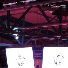 IMG_20250119_165502.jpg