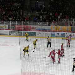 IMG_20250119_171247.jpg