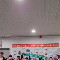 IMG-20250123-WA0016.jpg