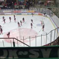 IMG-20250124-WA0001.jpg