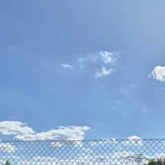 IMG-20250519-WA0062.jpg