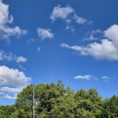 IMG-20250519-WA0030.jpg