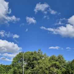 IMG-20250519-WA0029.jpg