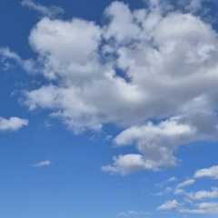 IMG-20250519-WA0012.jpg