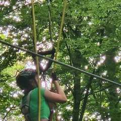 20250712_162930.JPG