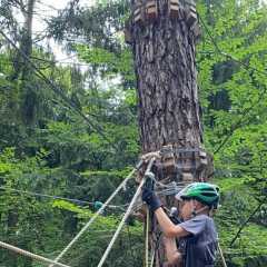 IMG-20250712-WA0046.JPG