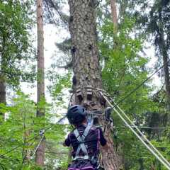 IMG-20250712-WA0050.JPG