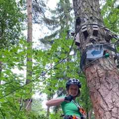 IMG-20250712-WA0052.JPG