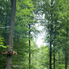IMG-20250712-WA0069.JPG