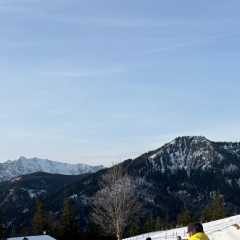 IMG-20260117-WA0028.JPG