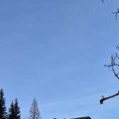 IMG-20260117-WA0037.JPG