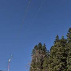 IMG-20260307-WA0014.JPG