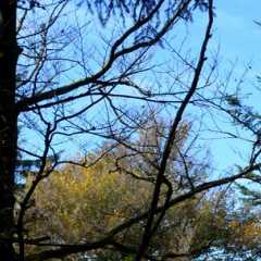 DSC_9425.jpg