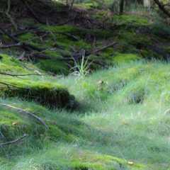 DSC_9455.jpg