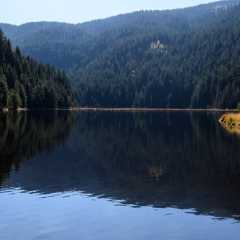 _DSC8418.jpg