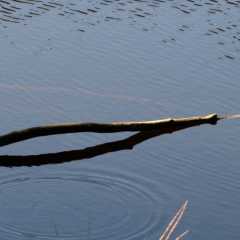 _DSC8450.jpg