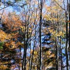 _DSC8468.jpg