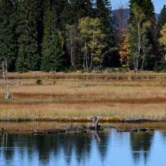 _DSC8474.jpg