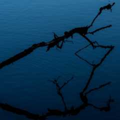 _DSC8511.jpg