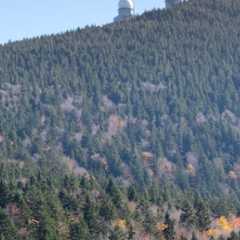 _DSC8512.jpg