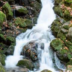 _DSC8530.jpg